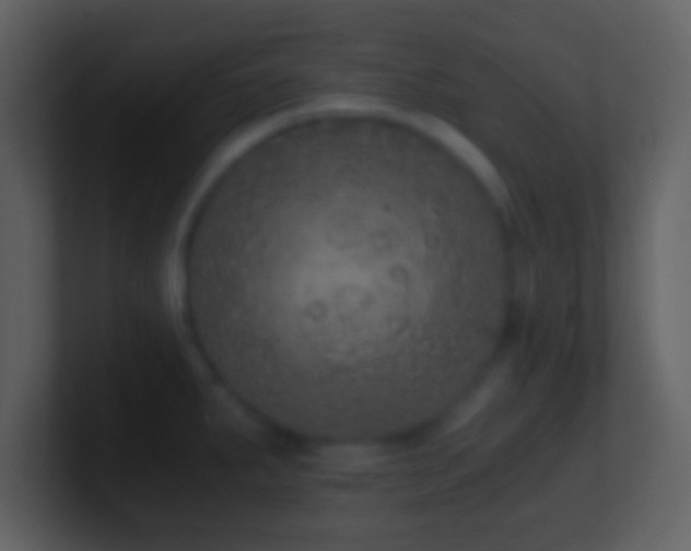 X0000101431287200807071334
