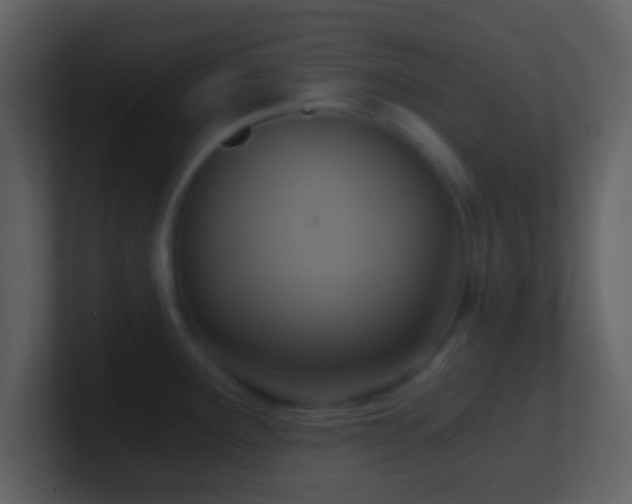 X0000101431291200807071334
