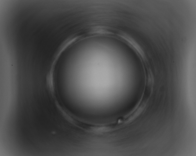 X0000101431293200807071334