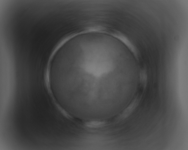 X0000101431294200807071334