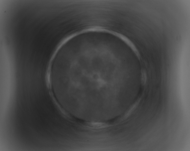 X0000101431295200807071334