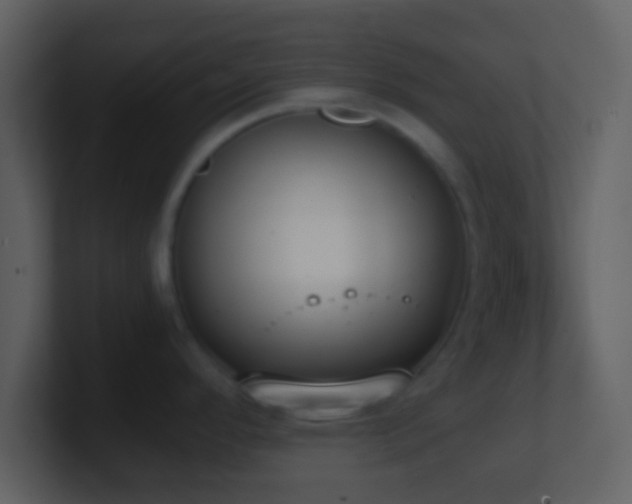 X0000101431296200807071334