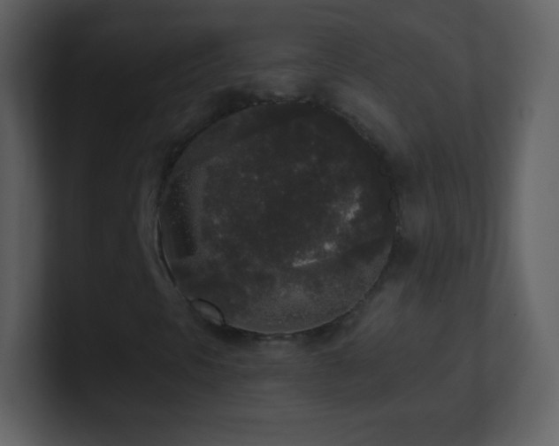 X0000101431297200807071333