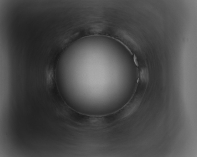 X0000101431299200807071333