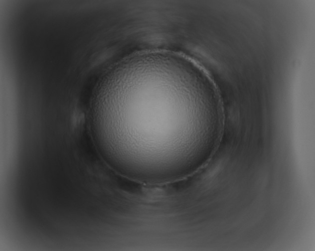 X0000101431302200807071333
