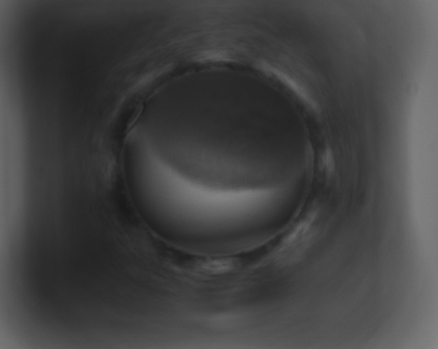 X0000101431303200807071333