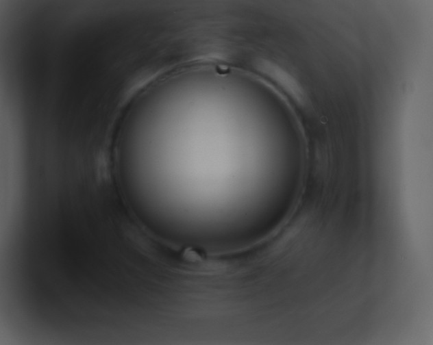 X0000101431308200807071333