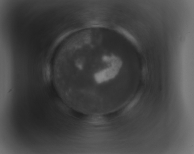 X0000101431310200807071333