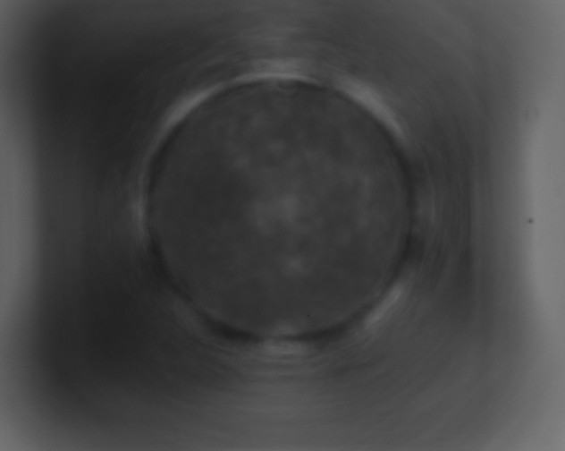 X0000101431312200807071333