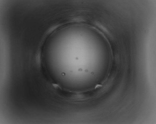 X0000101431315200807071333