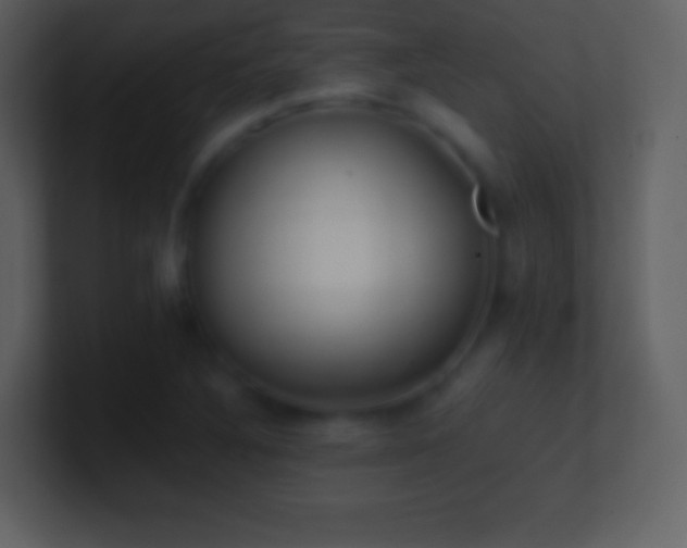 X0000101431316200807071333