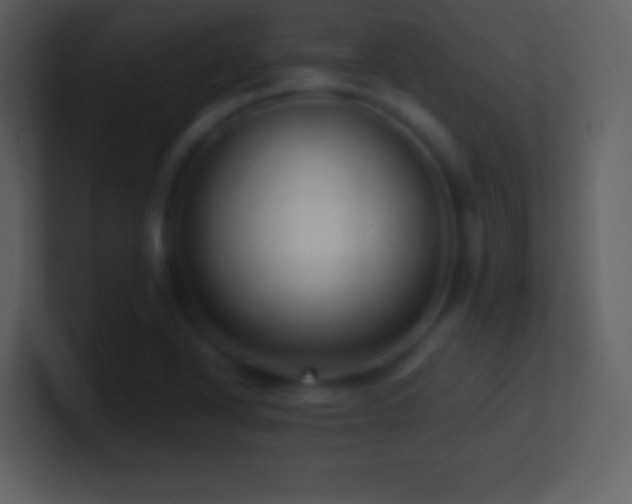 X0000101431318200807071333