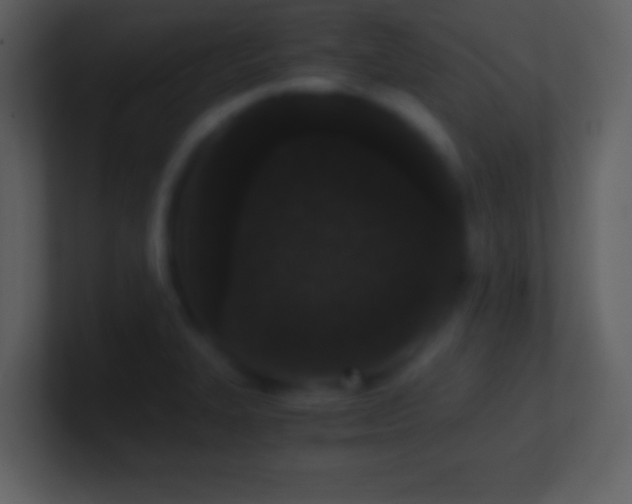 X0000101431327200807071333