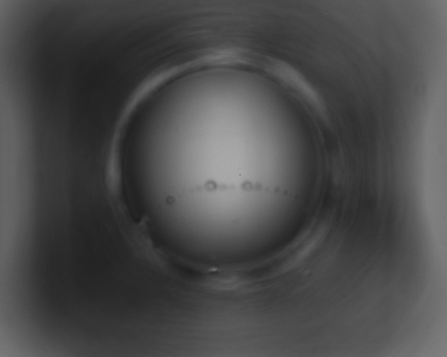 X0000101431328200807071333