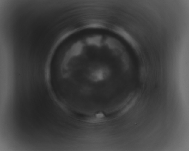 X0000101431331200807071333