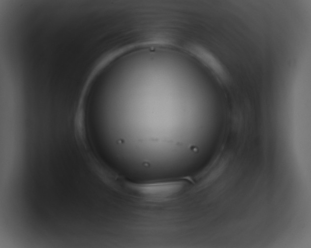 X0000101431332200807071333