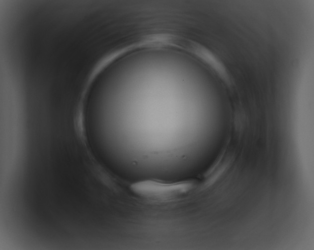 X0000101431336200807071334