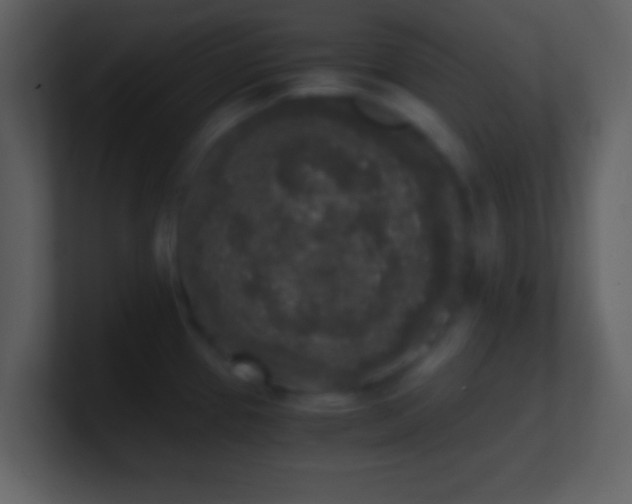X0000101431337200807071334
