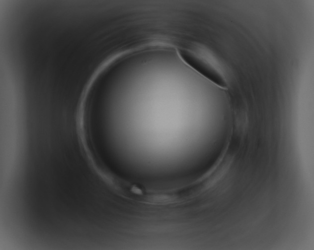 X0000101431339200807071334