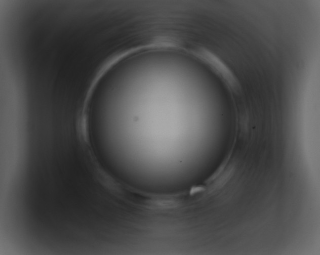 X0000101431340200807071334