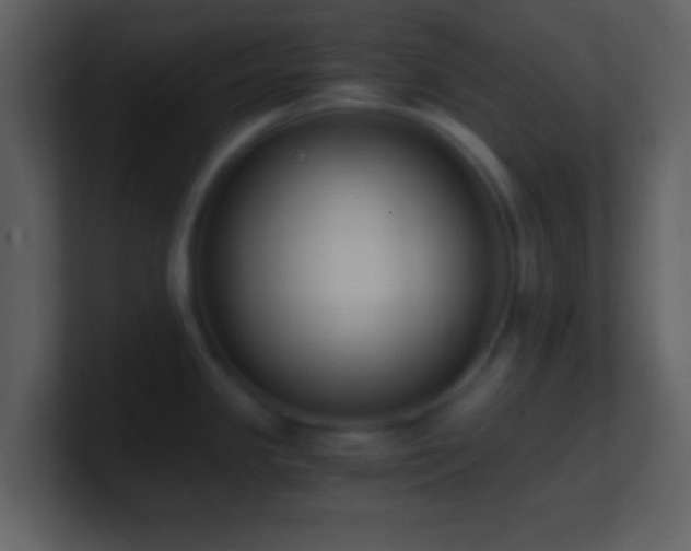 X0000101431341200807071334