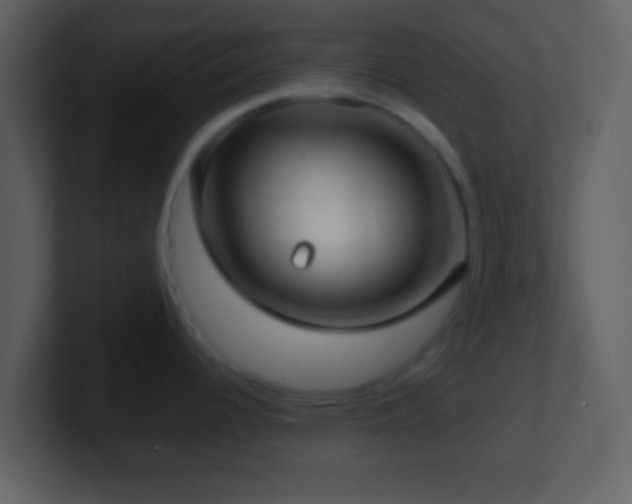 X0000101431344200807071334