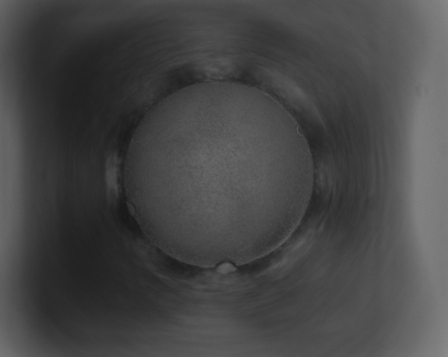 X0000101431346200807071333