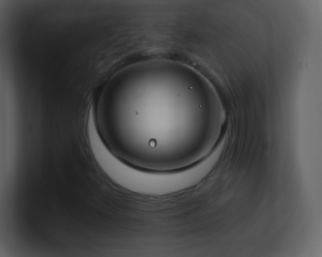 X0000101431348200807071333