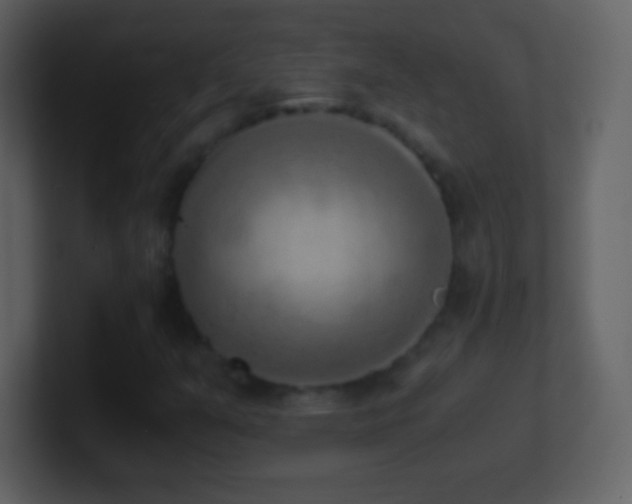 X0000101431351200807071333