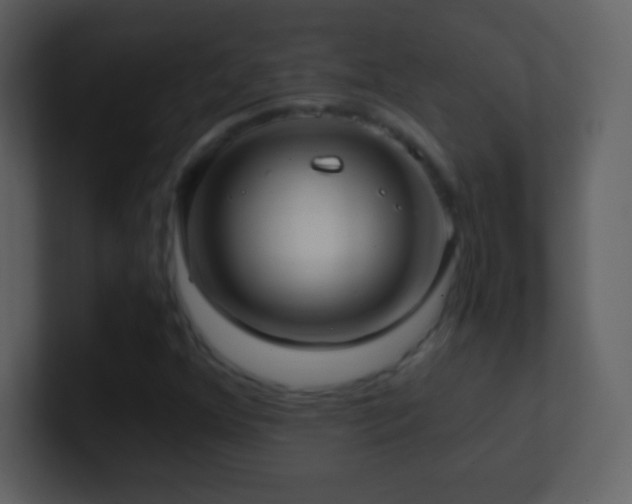 X0000101431352200807071333