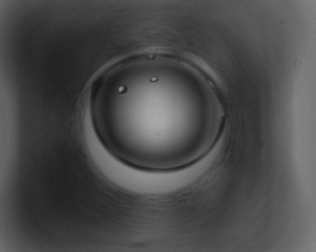 X0000101431356200807071333
