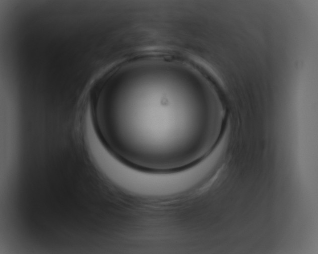 X0000101431357200807071333