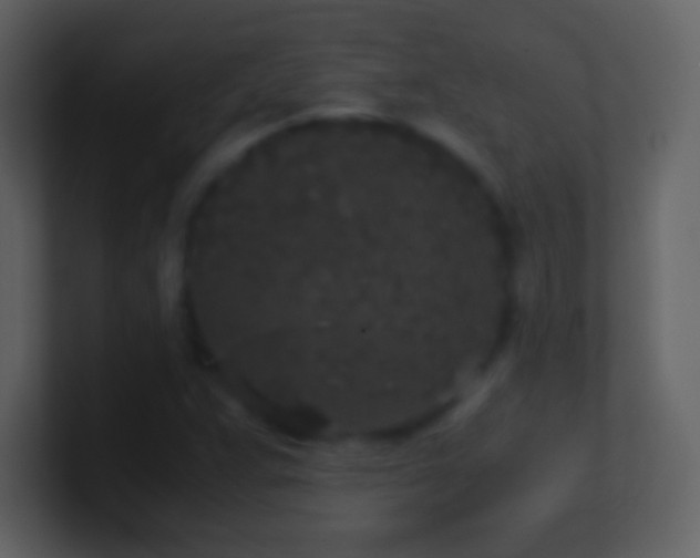 X0000101431359200807071333