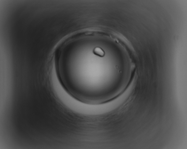 X0000101431360200807071333