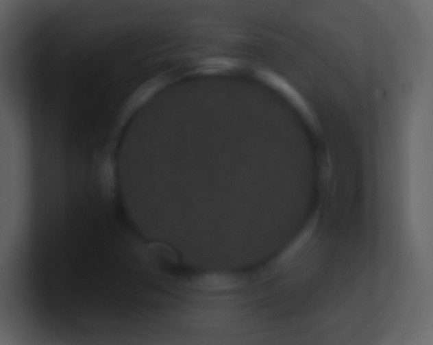 X0000101431362200807071333