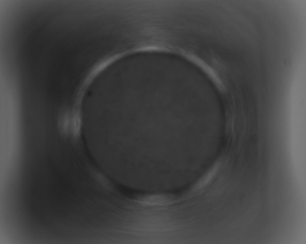 X0000101431367200807071333