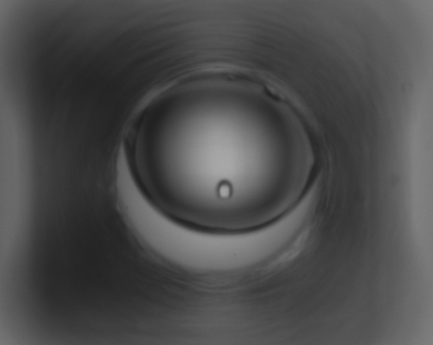 X0000101431369200807071333