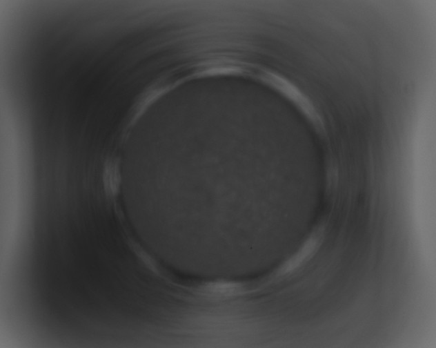 X0000101431377200807071333
