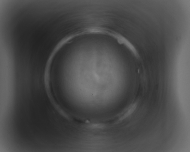 X0000101431381200807071333