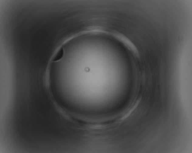 X0000101431382200807071333