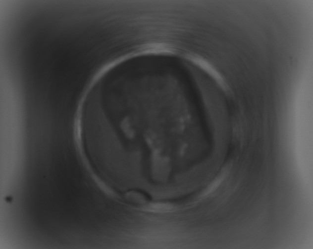 X0000101431383200807071333