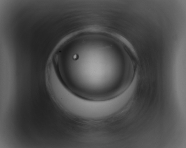 X0000101431384200807071332