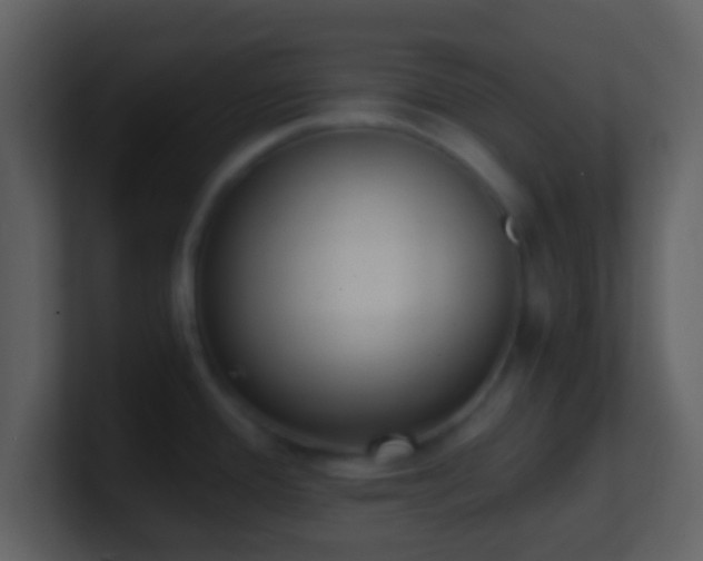 X0000101431388200807071332