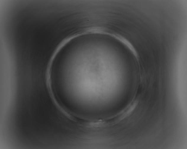 X0000101431389200807071332