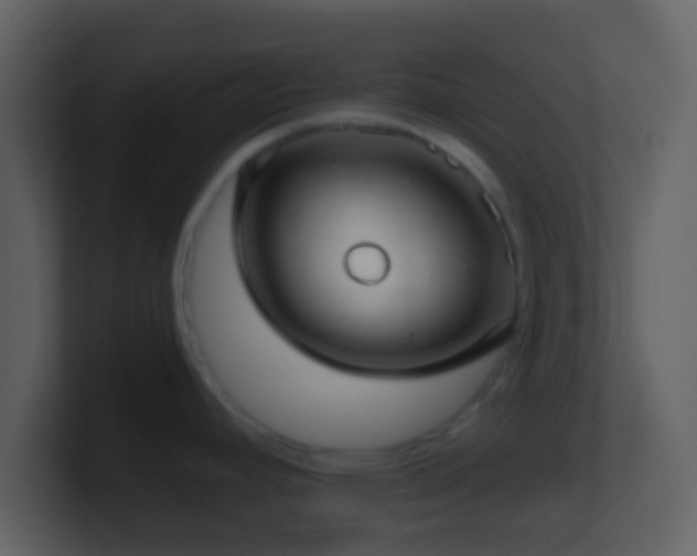 X0000101431392200807071332