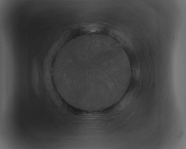 X0000101431393200807071332