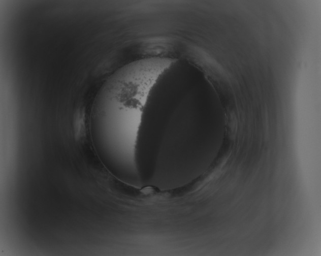 X0000101431394200807071332