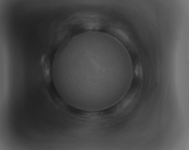 X0000101431396200807071332