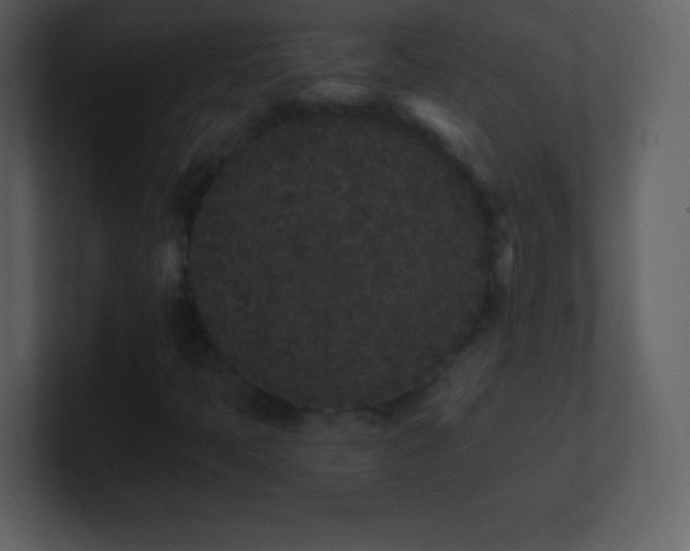 X0000101431397200807071332