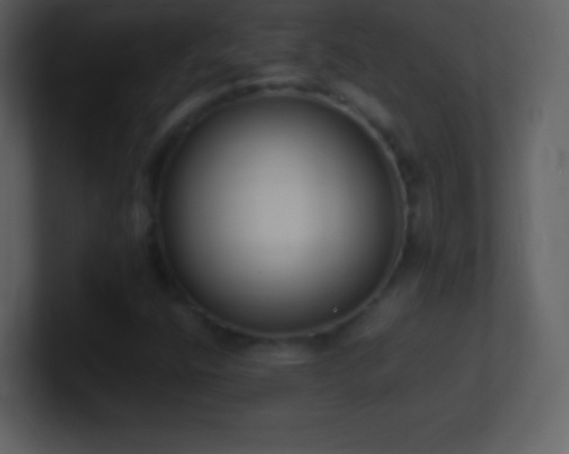 X0000101431400200807071332